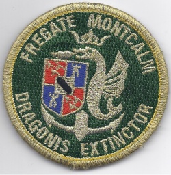 Badges et Ecussons militaires 