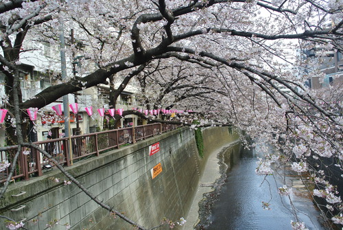 Un petit tour au Japon