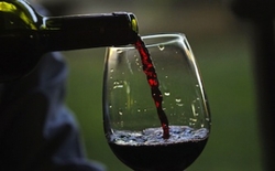 pourquoi le vin est bon pour la santé