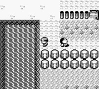 Pokémon 1ère génération