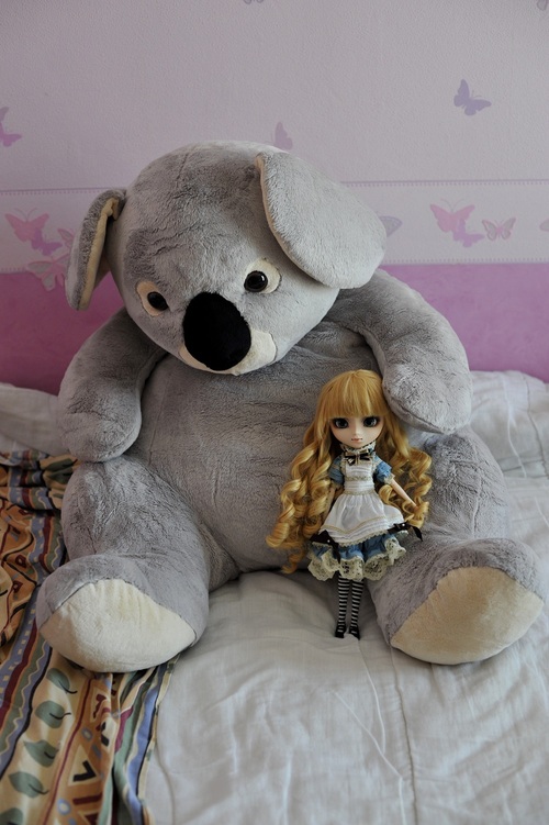 Alice avec un énorme Koala !