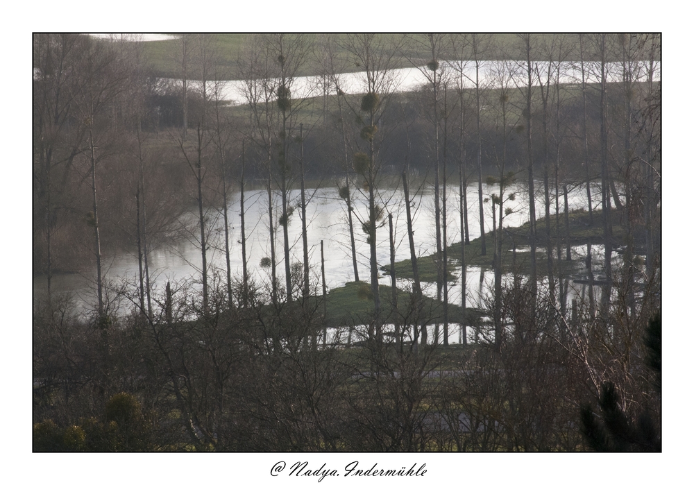Les rivières débordent dans nos Ardennes