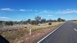 En route pour Alice Springs