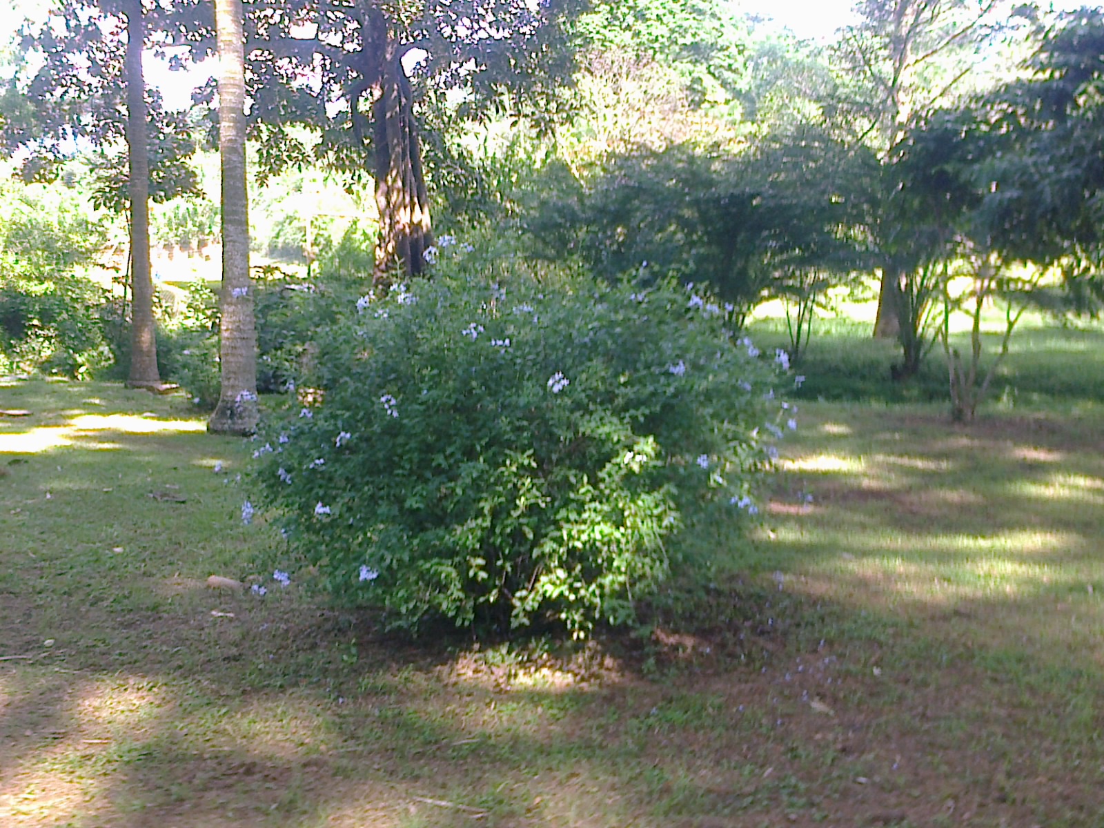 site de rencontre coconi