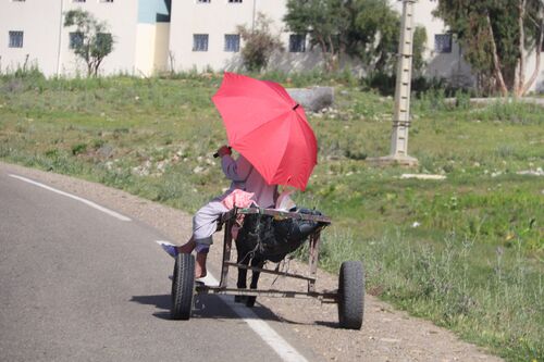 28 avril - Moulay Idriss - Chefchaouen