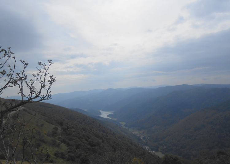 Vosges-le massif du Ventron #2