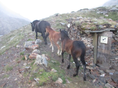 Cabane (2 nuits) : estanys del Port & de Mariola (Val de Cardós) - Alt Pirineu / Espagne