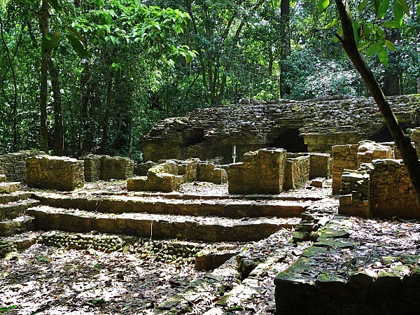 Jour 7 Palenque sentier forêt ruines 2