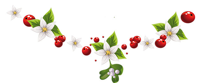 Resultado de imagen de hermosos separadores