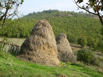 Meules-de-foin-pour-la-faim.jpg