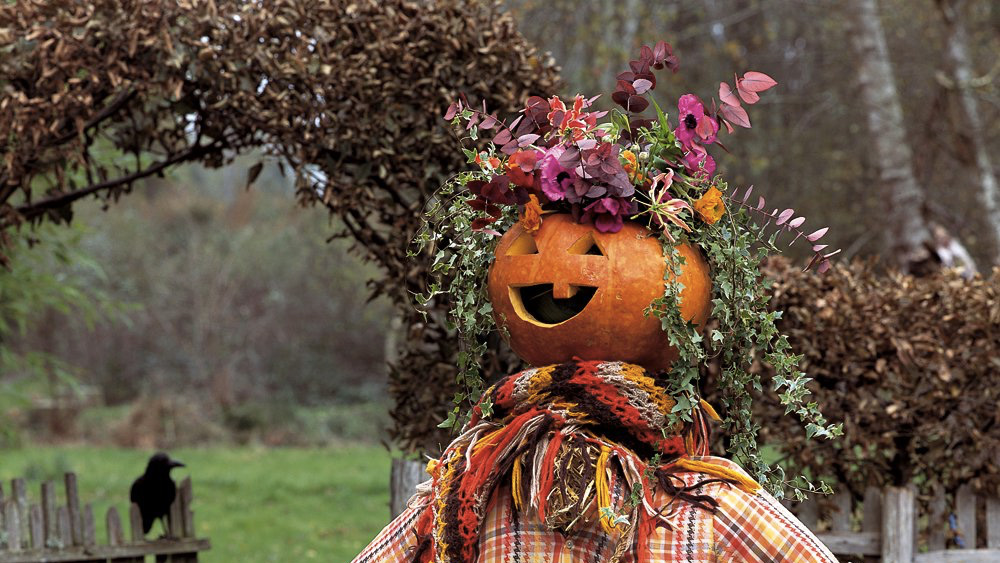 Un jardin décoré pour Halloween | Shake My Blog