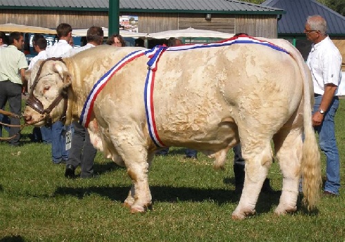 Bacchus