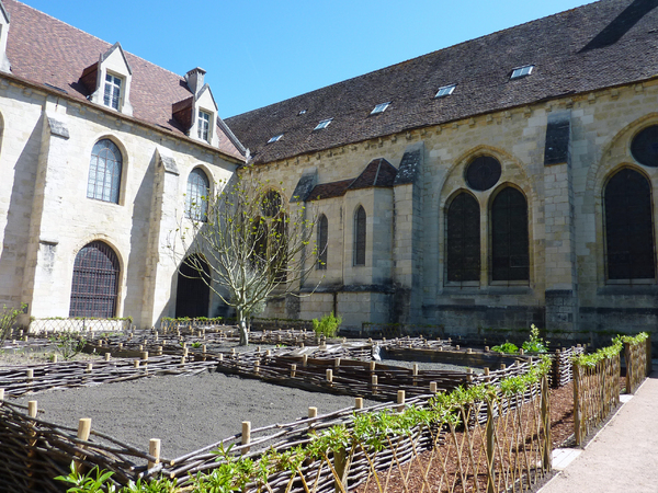 Promenade à l'Abbaye de Royaumont