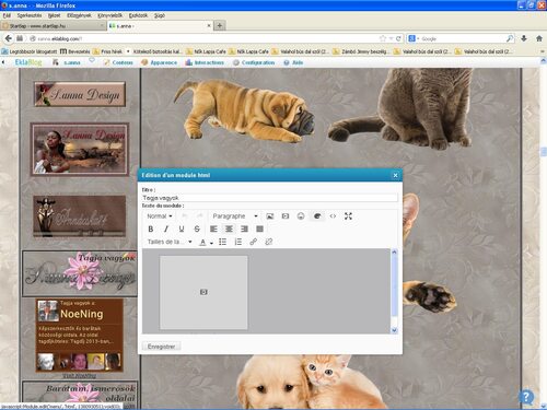 EklaBlog Oldal design szerkesztése!