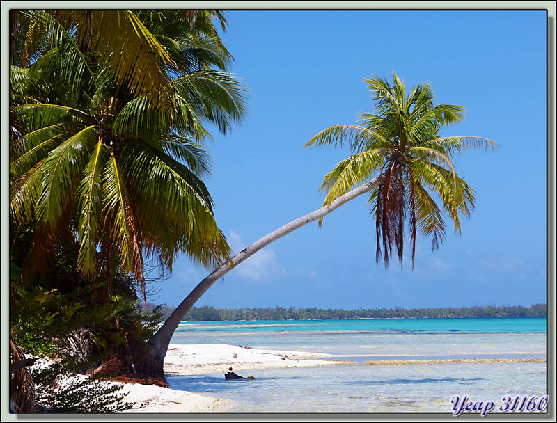 Débarquement sur "l'Ile aux Récifs" - Motu Ai Ai - Rangiroa - Tuamotu - Polynésie française