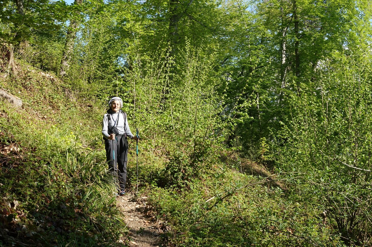 Dans les hauts de Marthod