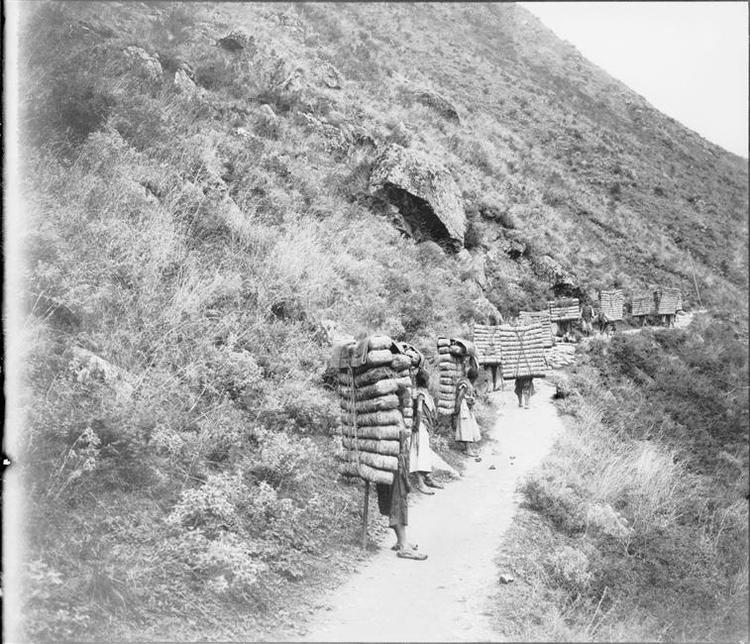 Porteurs de thé au Sichuan, 1903, gelatin silver glass plate negative