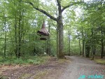 Limoges : Promenons-nous dans les bois de la Bastide " Loup y es-tu ? "