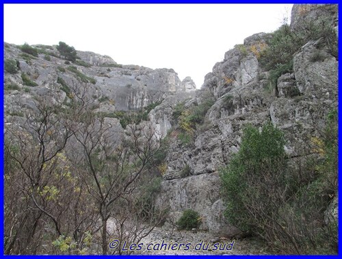 Calanques , Port pin et En Vau