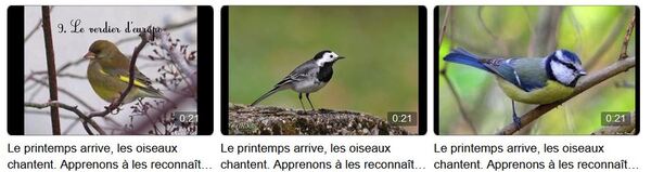 Les oiseaux de la forêt et leurs chants, présentés magnifiquement par la Maison de la Forêt....