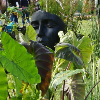 Retour sur les Journées des Plantes et Art du Jardin de Jossigny...