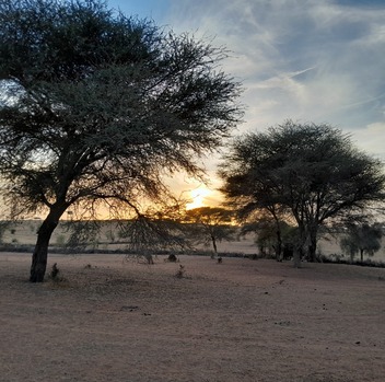 Depuis Nouakchott