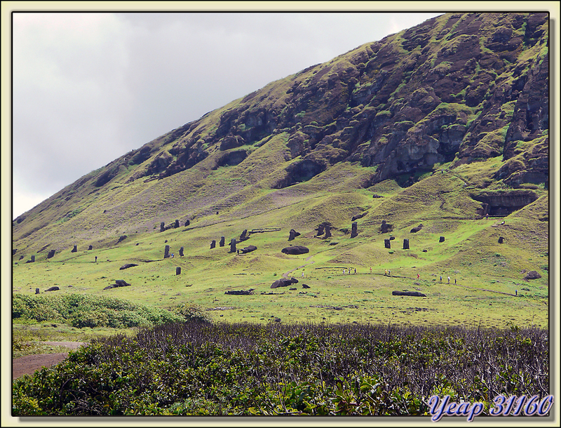 Colosses figés sur les flancs du Volcan Rano Raraku - Rapa Nui (île de Pâques) - Chili