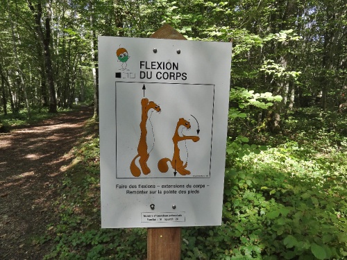 Le parcours de santé en forêt châtillonnaise...