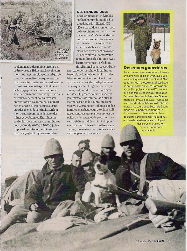 Grand Reportage:  Courageux chiens de guerre (2 pages)