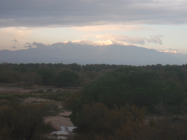 APRES LA TEMPETE DANS L'AUDE LE 1ER DECEMBRE 2014(la réserve de Sigean)