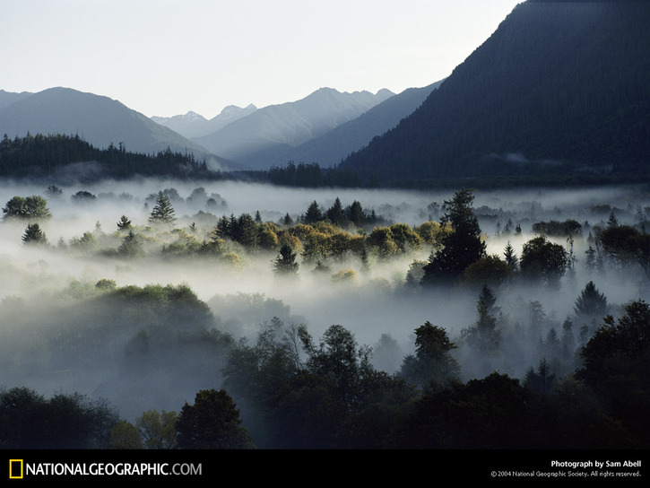 10 Images de Natl. Geographic 3