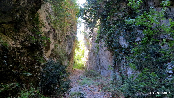 Combe de Vidauque