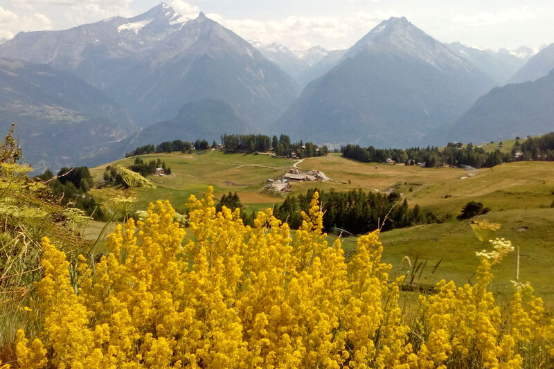 Randonnée au Mont Fallère (6)