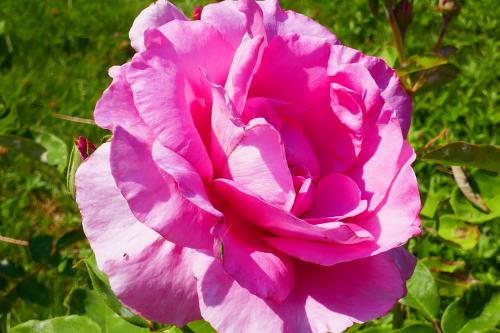 Le cartoscope du mardi 6 juillet 2021