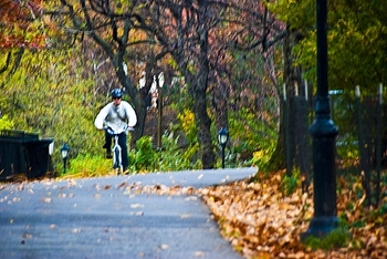 ny_cyclists_and_joggers_riverside_park_fall_2009_02_183