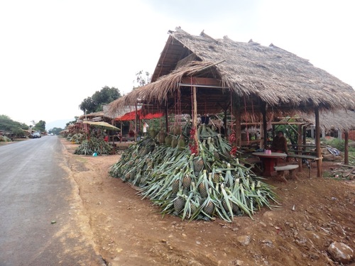 Le sud du Laos