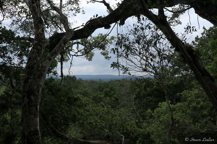 Site maya d'El Zotz