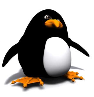 pingui