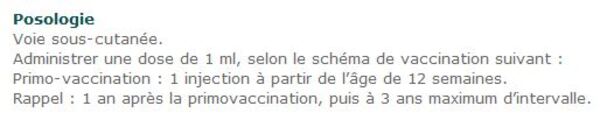 Vaccin antirabique chez le chat : sans adjuvant et pour 3 ans !