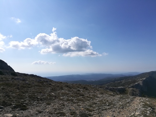 Le(s) puceau(x) de la Sainte Baume