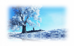 PNG képek: Téli, karácsonyi képek