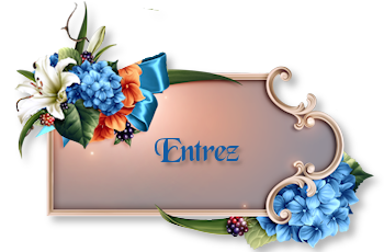 Accueil