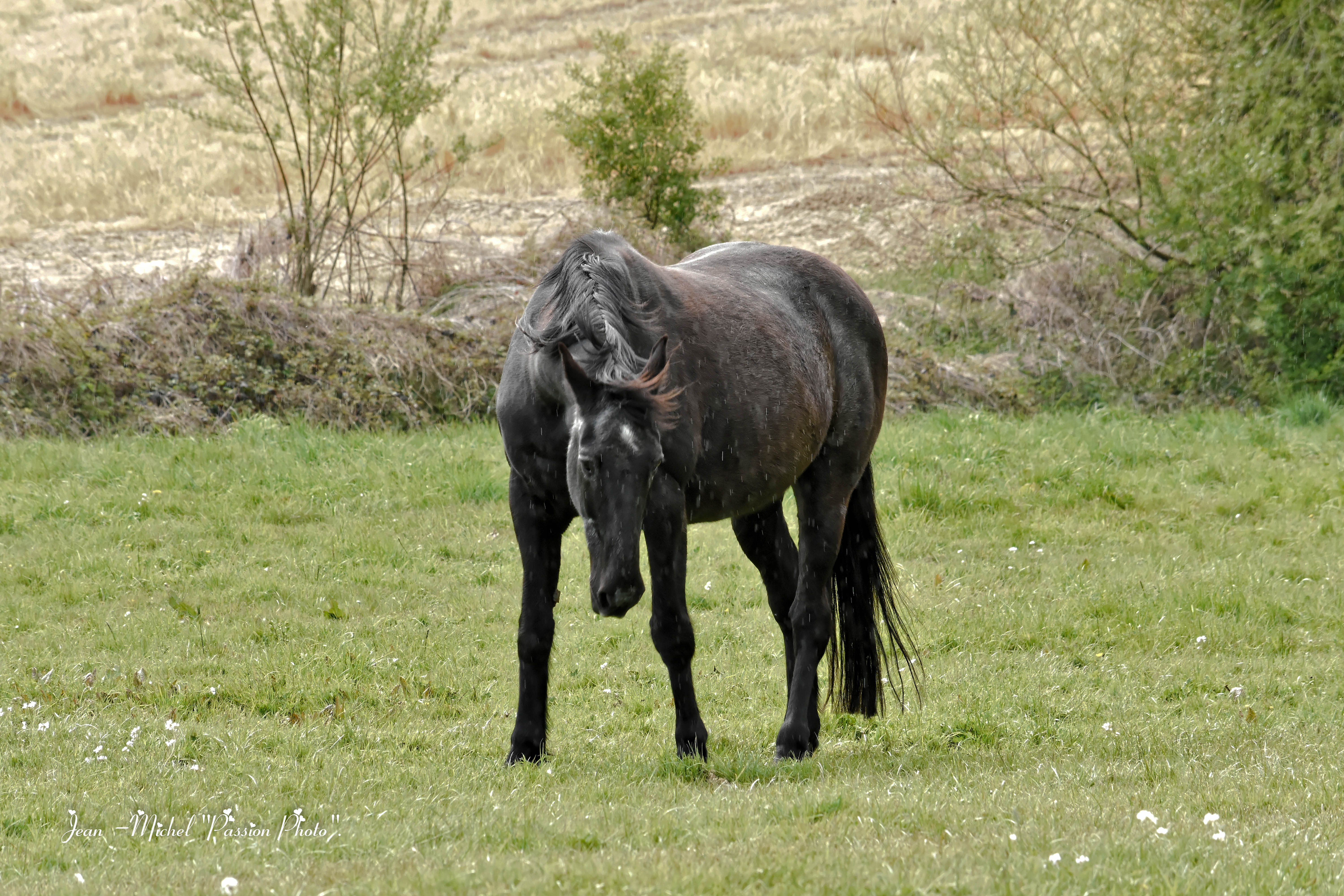 essais pour blog photo