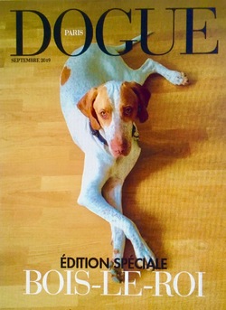 Dogue (snob)