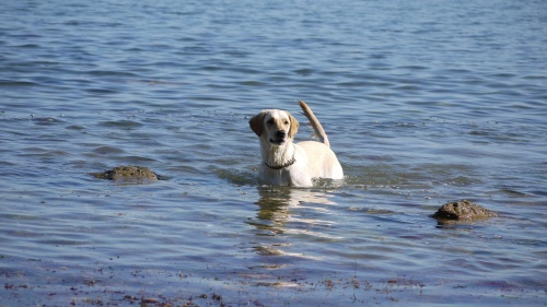 Dernier jour a la mer :)