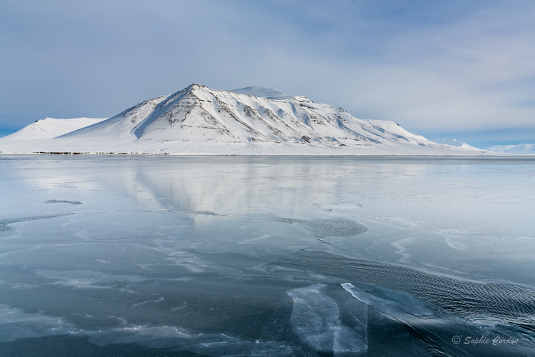 Van Mijenfjorden