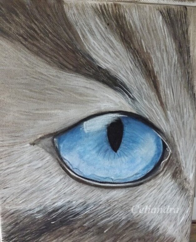    Peinture Oeil de chat 2