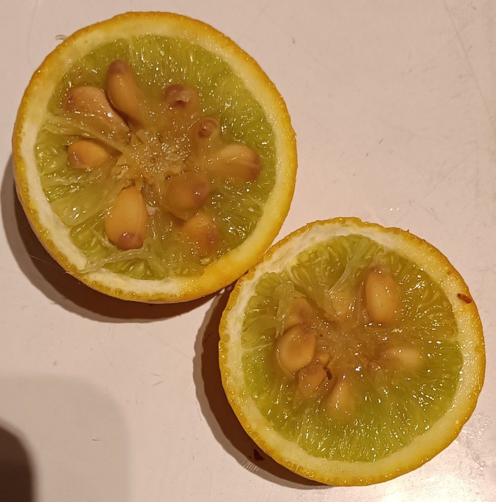 Variétés d'agrumes : le citronnier yuzu...