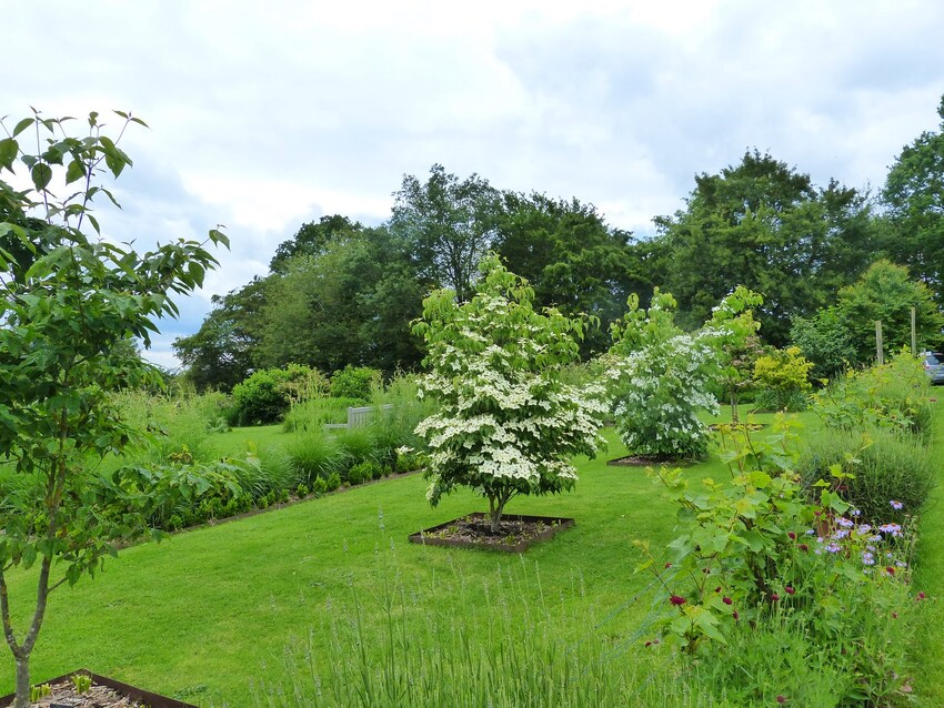 Le jardin de Marie