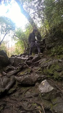 balade en mode siret, dans les forêts